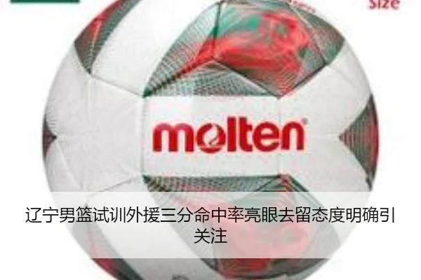 辽宁男篮试训外援三分命中率亮眼去留态度明确引关注